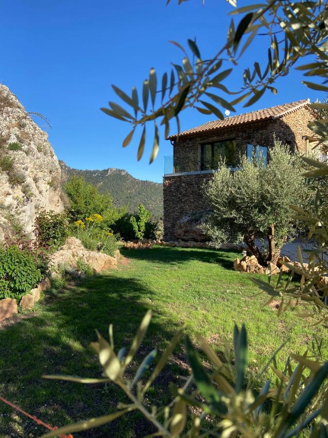 Casa Rural Piedra De La Torre Riópar 外观 照片